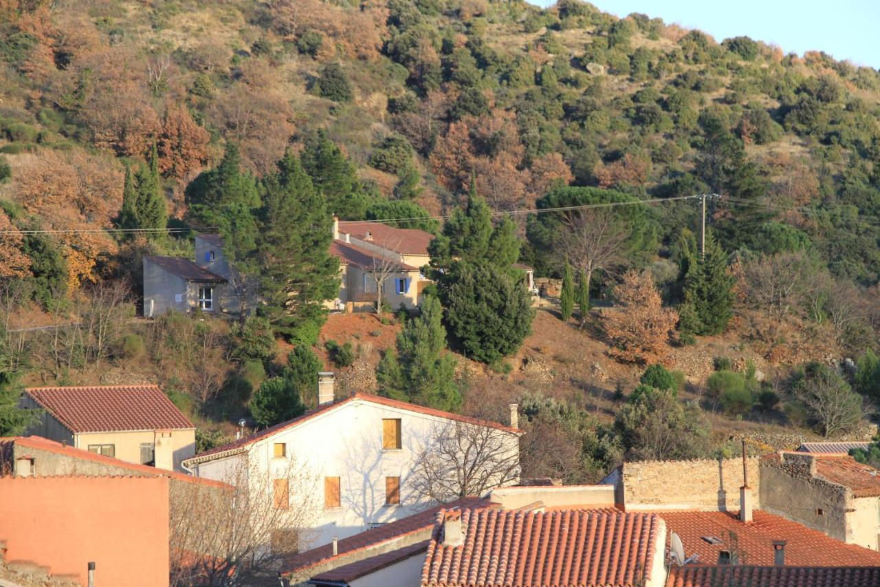 Gites-Terroirs-Occitanie Grenache Felluns Dış mekan fotoğraf